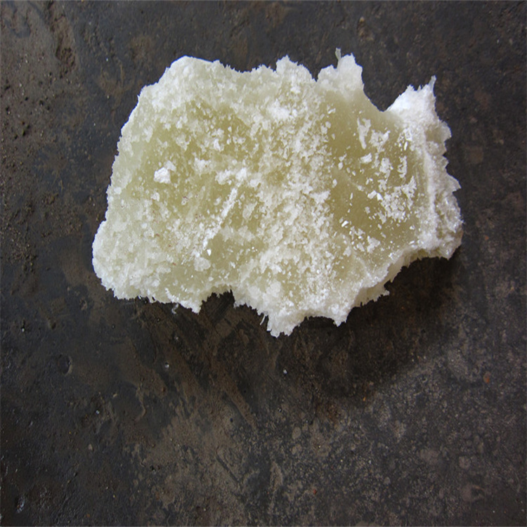 高清无码嫩逼